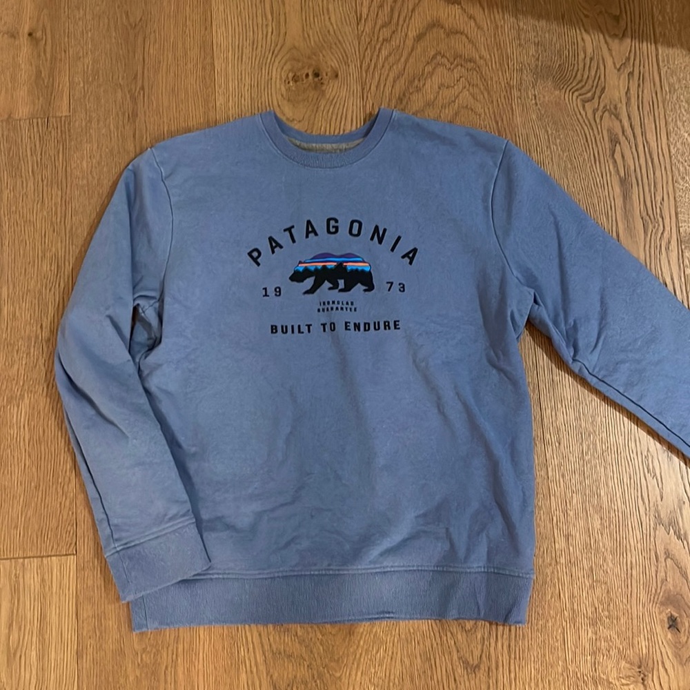 Patagonia Blue Sweatshirt